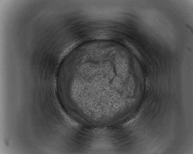 X0000091690725200709201257