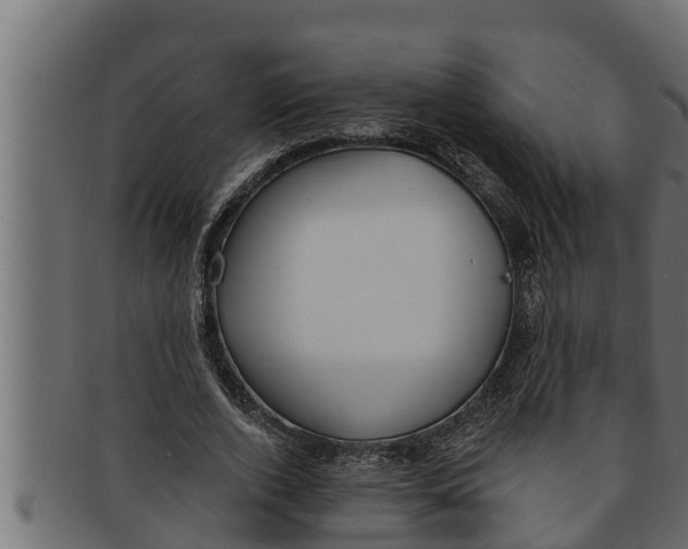 X0000091690728200709201257