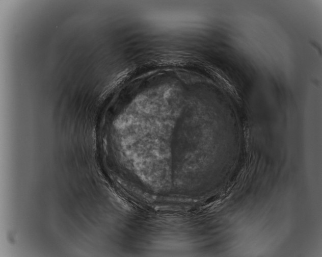 X0000091690729200709201258