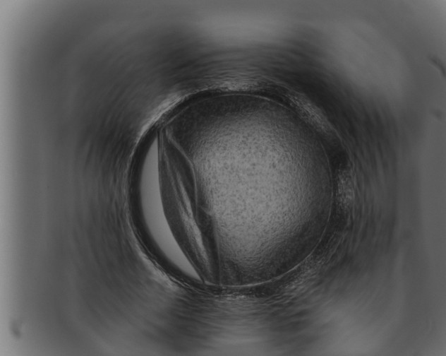 X0000091690730200709201258