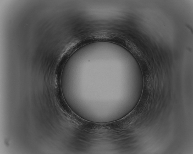 X0000091690731200709201258