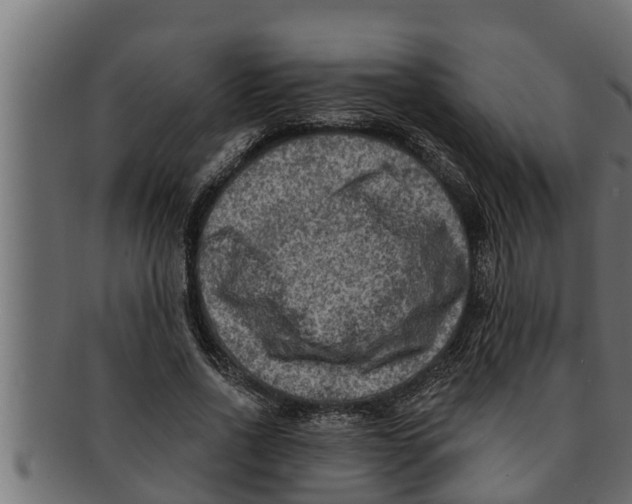 X0000091690734200709201258