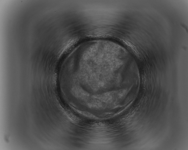 X0000091690735200709201258