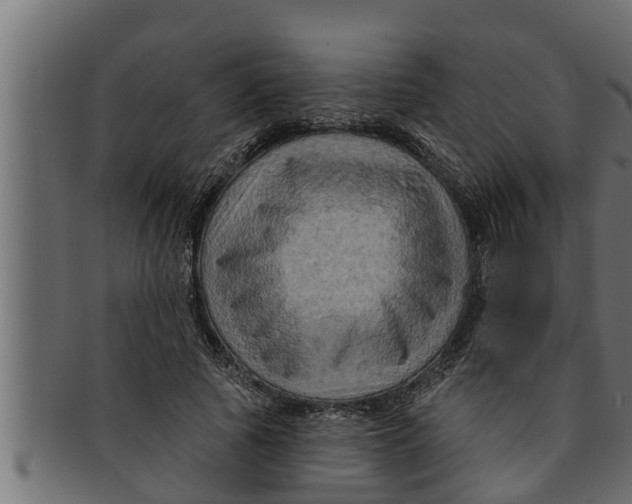 X0000091690737200709201258