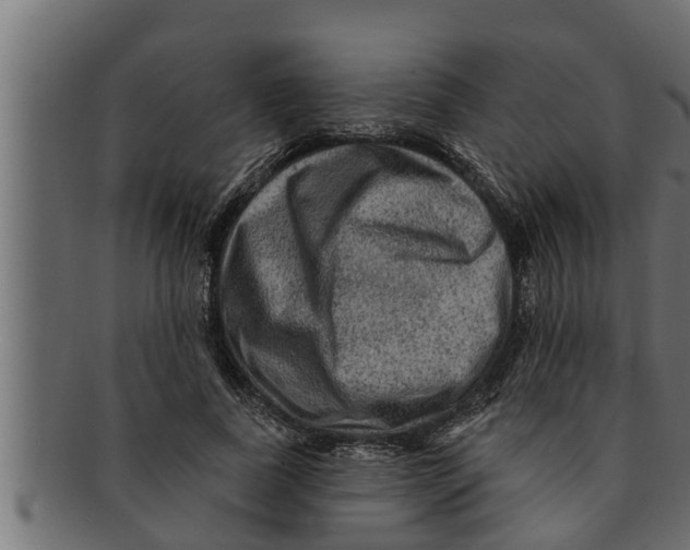 X0000091690739200709201258