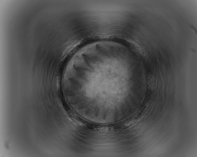 X0000091690740200709201258