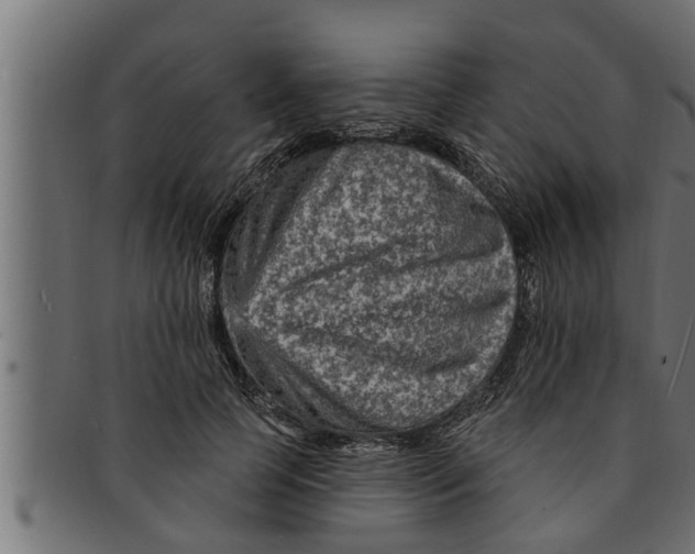 X0000091690745200709201258