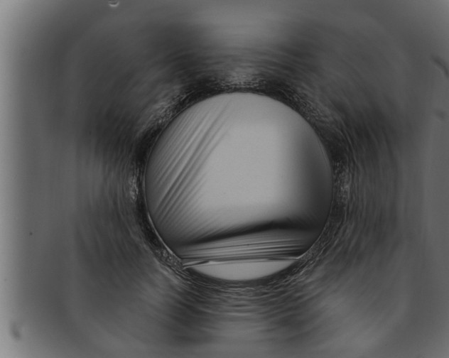 X0000091690746200709201258