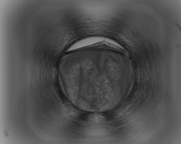 X0000091690747200709201258