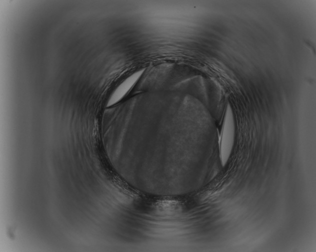 X0000091690748200709201258