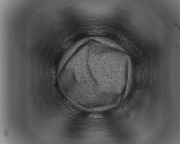 X0000091690749200709201258