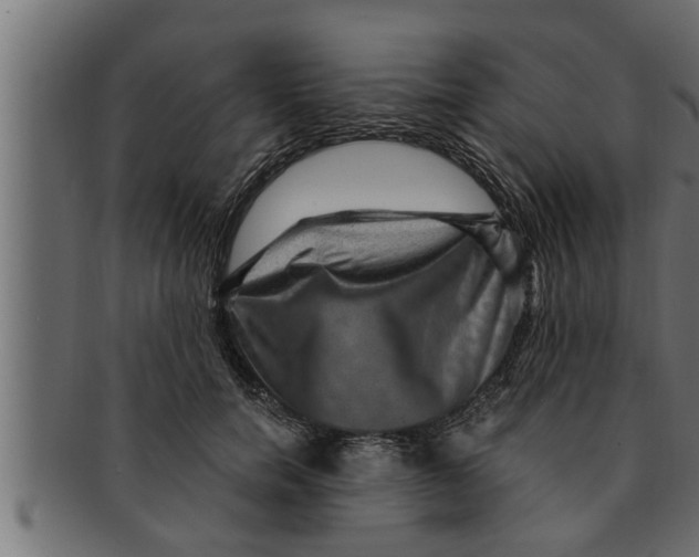 X0000091690750200709201258