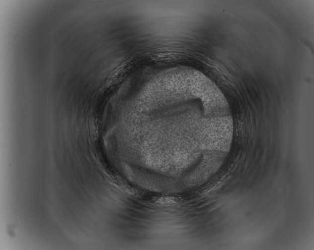 X0000091690751200709201258