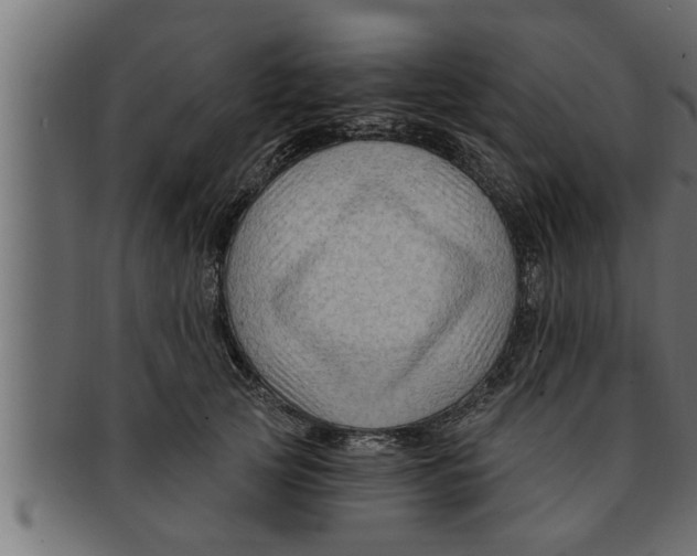 X0000091690753200709201258