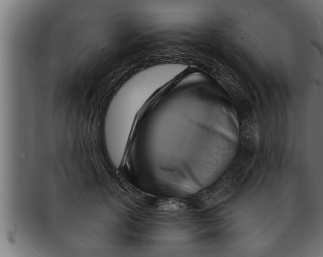 X0000091690754200709201258