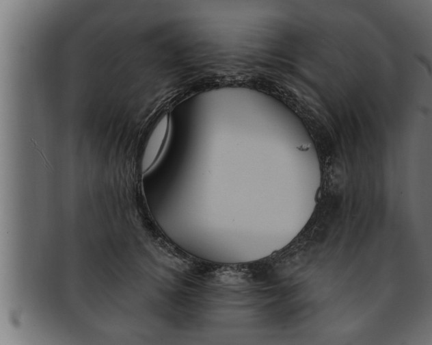 X0000091690756200709201258