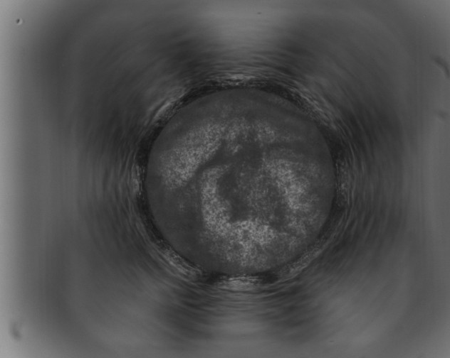 X0000091690758200709201258