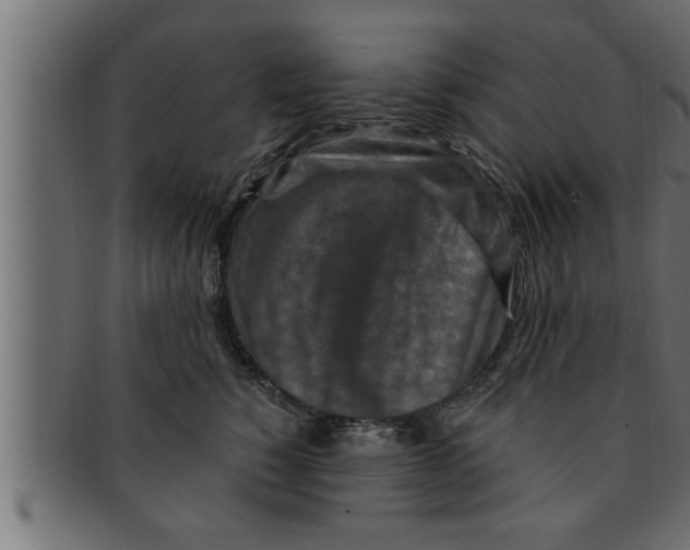 X0000091690760200709201258