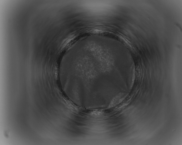 X0000091690762200709201258