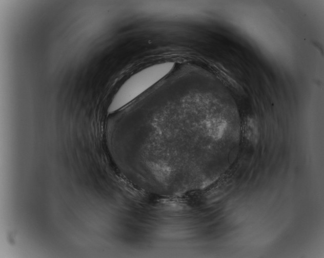 X0000091690763200709201258