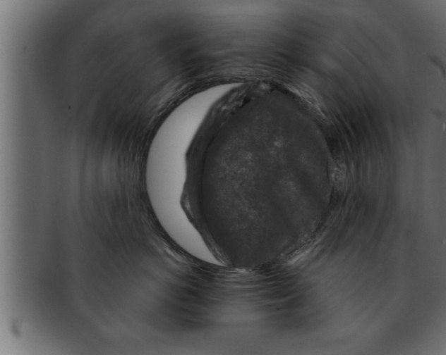 X0000091690766200709201258