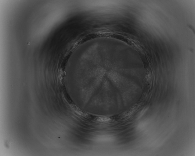 X0000091690767200709201258