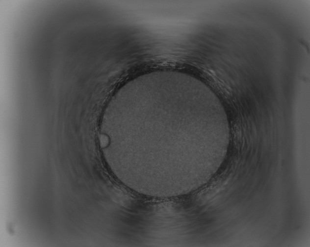 X0000091690769200709201257