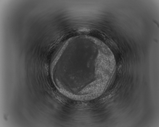 X0000091690772200709201257