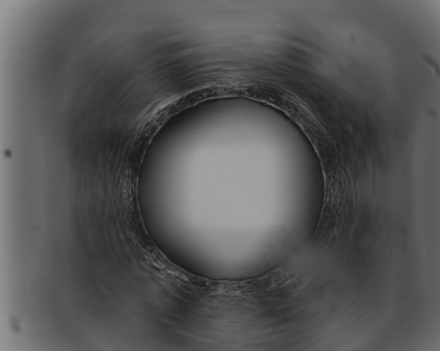 X0000091690773200709201257