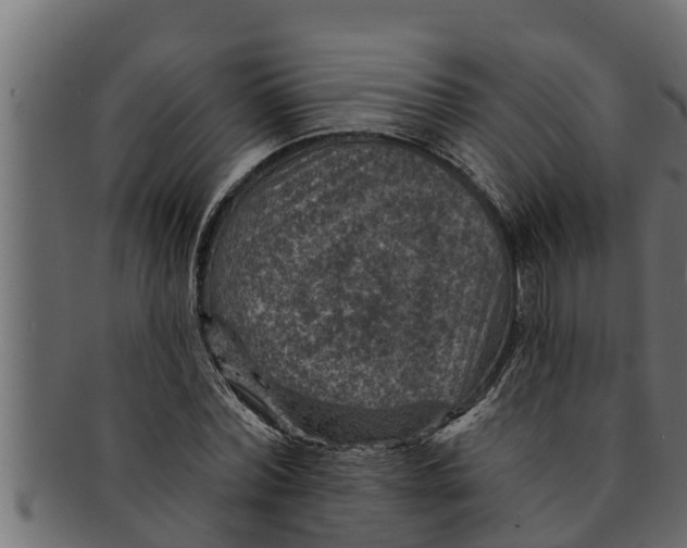 X0000091690780200709201257