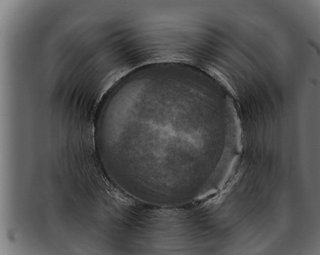 X0000091690781200709201257