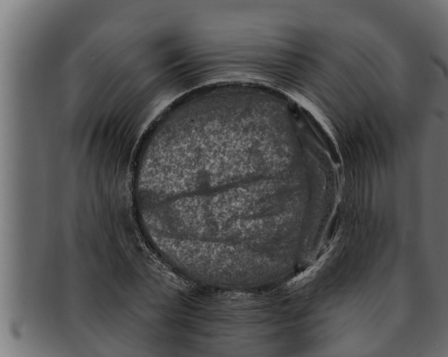 X0000091690783200709201257