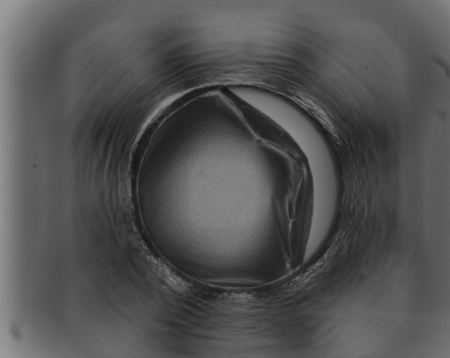 X0000091690784200709201257