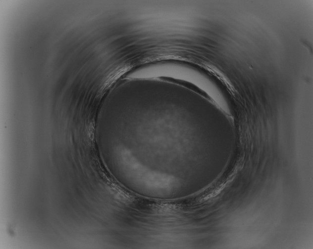 X0000091690785200709201257