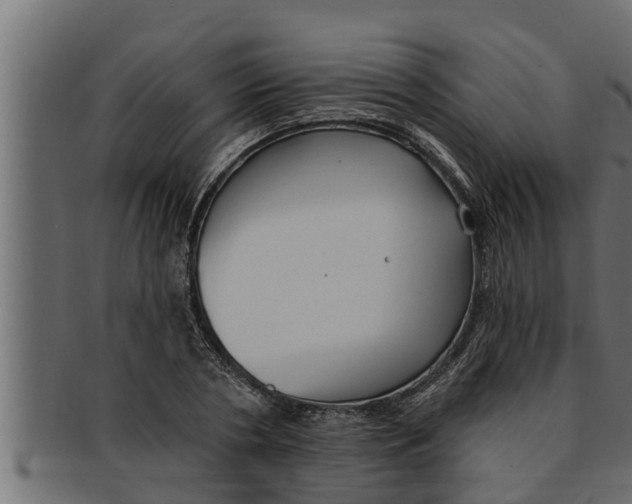 X0000091690786200709201257