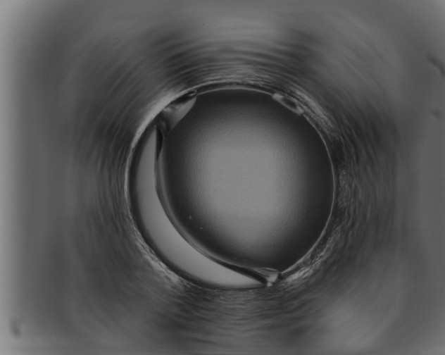 X0000091690788200709201257