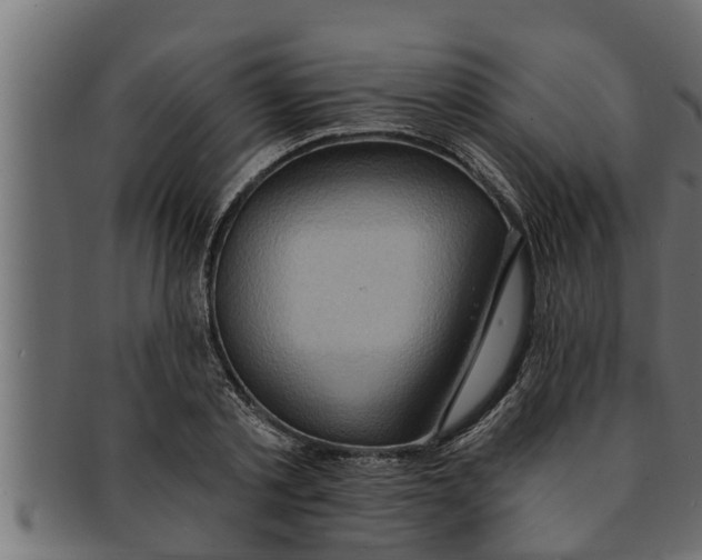 X0000091690789200709201257