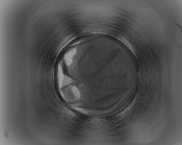 X0000091690790200709201257