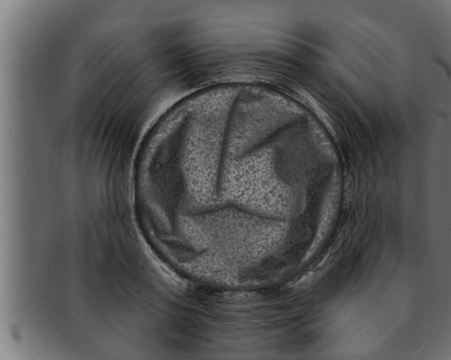 X0000091690795200709201257