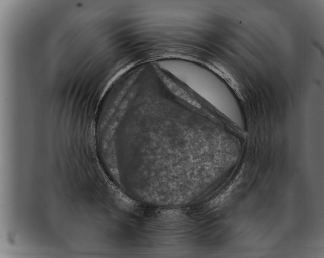 X0000091690798200709201257