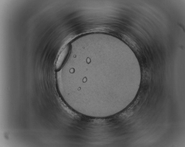 X0000091690800200709201257