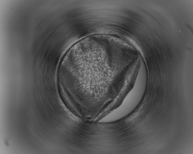 X0000091690803200709201257