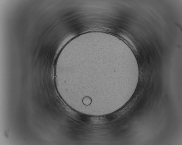 X0000091690804200709201257