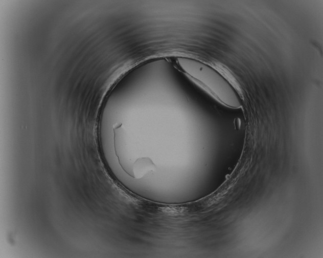 X0000091690805200709201257