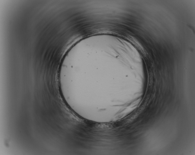 X0000091690806200709201257