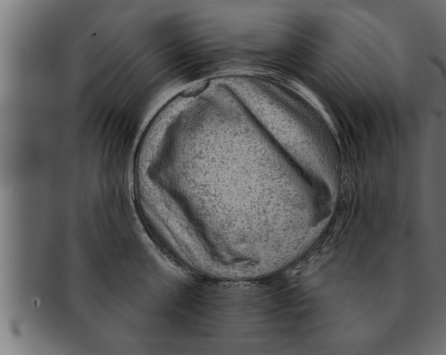 X0000091690811200709201257