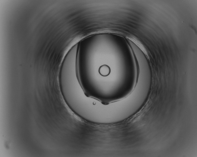 X0000091690813200709201257