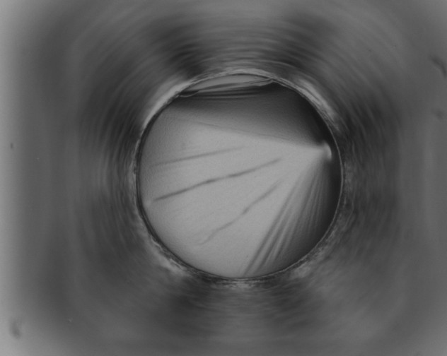 X0000091690814200709201257