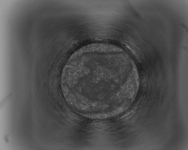 X0000091690817200709201256