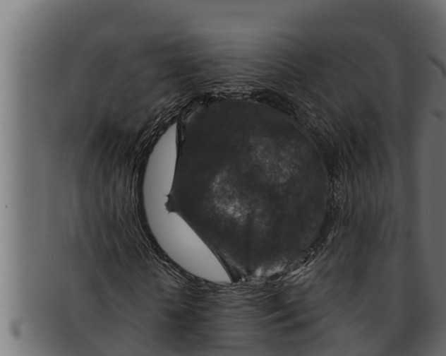 X0000091690818200709201256